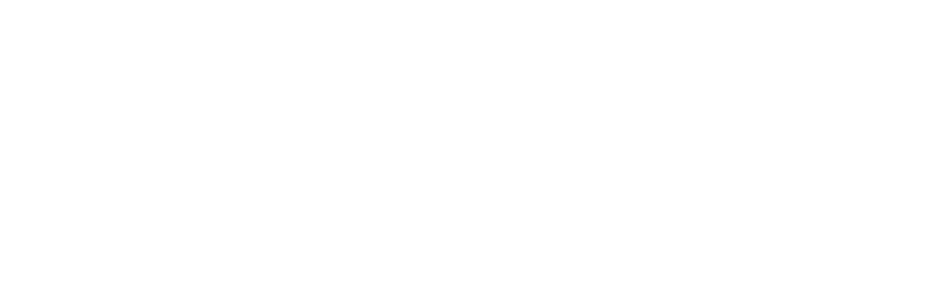 Layher